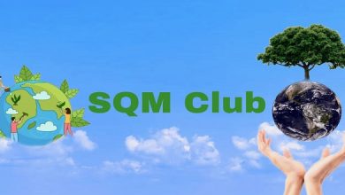 What Types Of Services Does SQM Club Offer?
